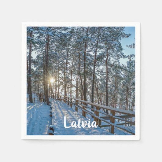 雪に覆われた冬の森を横切る木道 スタンダードカクテルナプキン (正面)
