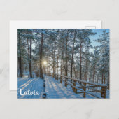 雪に覆われた冬の森を横切る木道 ポストカード (正面/裏面)