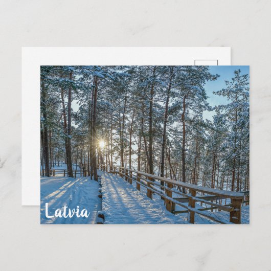 雪に覆われた冬の森を横切る木道 ポストカード (正面/裏面)
