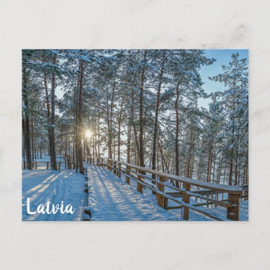 雪に覆われた冬の森を横切る木道 ポストカード (正面)
