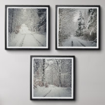 雪に覆われた冬の森を歩く