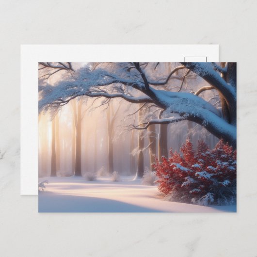 雪に覆われた冬の森 ポストカード (正面/裏面)