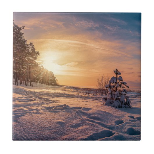 雪に覆われた冬の海岸の夕日 タイル (正面)