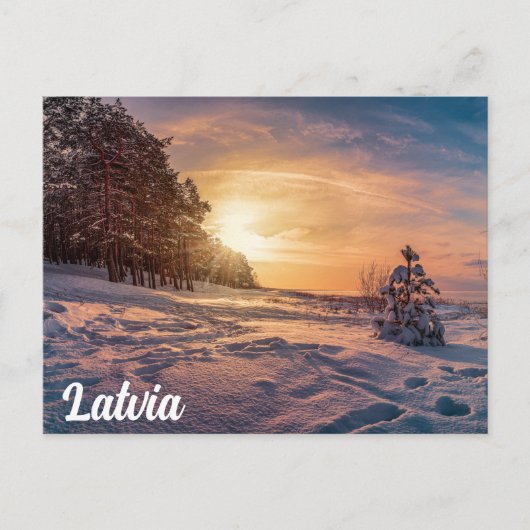 雪に覆われた冬の海岸の夕日 ポストカード (正面)