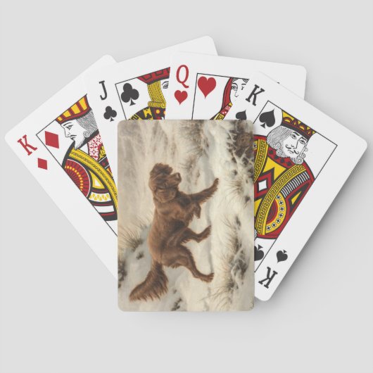 雪に覆われた冬の風景に登場するゴードン・セッター犬 トランプ (裏面)