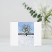 雪に覆われた冬の風景は、裸木と青空 ポストカード (スタンド正面)