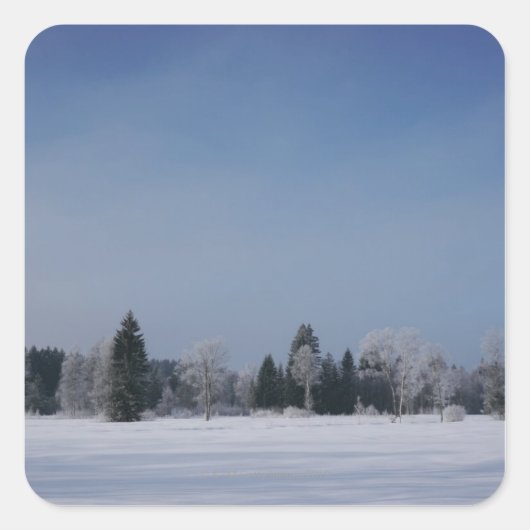 雪に覆われた冬の風景12 スクエアシール (正面)