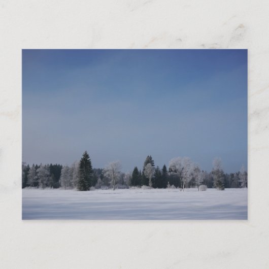 雪に覆われた冬の風景12 ポストカード (正面)
