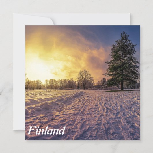 雪に覆われた冬季公園の夕日 (正面)