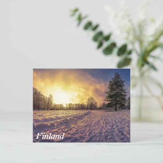 雪に覆われた冬季公園の夕日 ポストカード (スタンド正面)