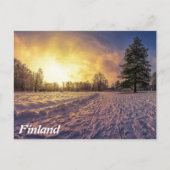 雪に覆われた冬季公園の夕日 ポストカード (正面)