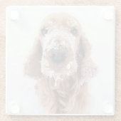 雪に覆われた可愛いゴールデンレトリバー犬顔 ガラスコースター (裏面)