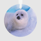 雪に覆われた小さなアザラシの子供 オーナメント (裏面)