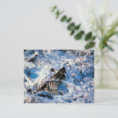 雪に覆われた小鳥 ポストカード (スタンド正面)