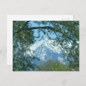 雪に覆われた山が葉を通る ポストカード (正面/裏面)