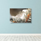 雪に覆われた常緑樹の枝に灰色の羽毛 キャンバスプリント (インサイチュ (ウッドフロア))