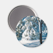 雪に覆われた常緑樹 マグネット (正面/裏面)