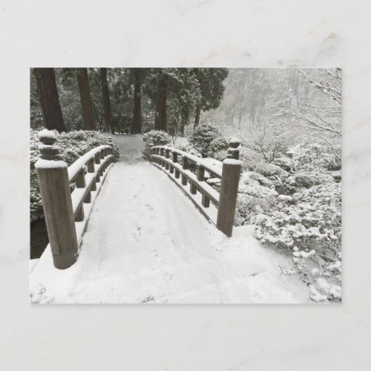 雪に覆われた月橋、日本庭園 ポストカード (正面)