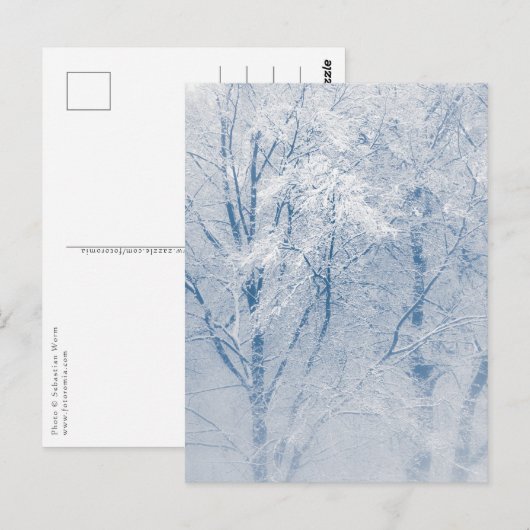 雪に覆われた木々の冬の写真 ポストカード (正面/裏面)