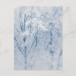 雪に覆われた木々の冬の写真 ポストカード