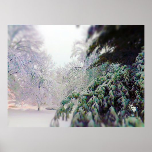 雪に覆われた木々、松のKC通り ポスター (正面)