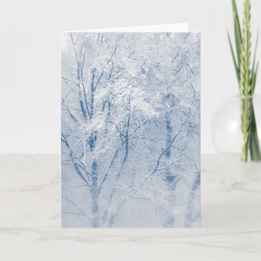 雪に覆われた木の冬の自然写真 カード (正面)