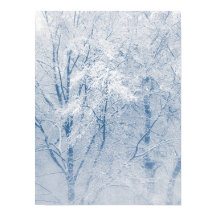 雪に覆われた木の冬の自然写真