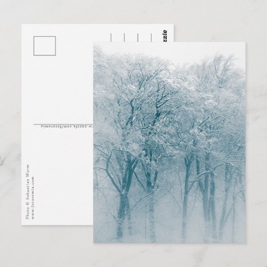 雪に覆われた木の冬の自然写真 ポストカード (正面/裏面)