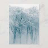 雪に覆われた木の冬の自然写真 ポストカード (正面)