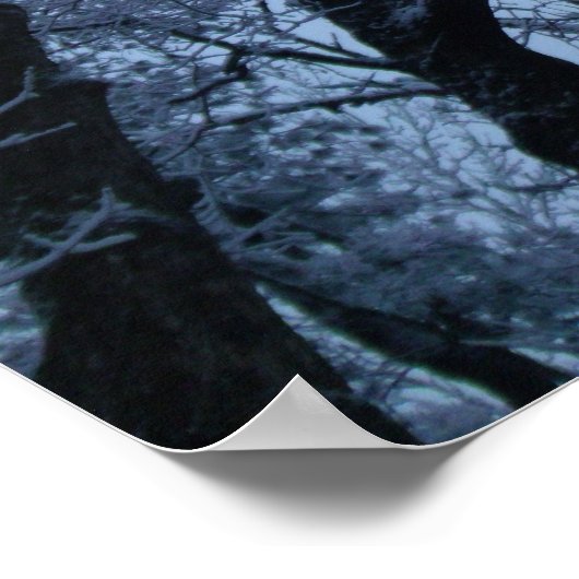 雪に覆われた木 ポスター (角)