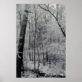 雪に覆われた木 ポスター (正面)