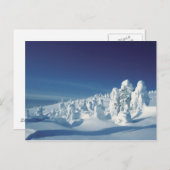 雪に覆われた木 ポストカード (正面/裏面)