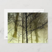 雪に覆われた木 ポストカード (正面/裏面)