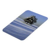 雪に覆われた木 マグネット (左側)