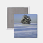 雪に覆われた木 マグネット (正面/裏面)