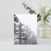 雪に覆われた木：垂直 ポストカード (スタンド正面)