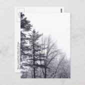 雪に覆われた木：垂直 ポストカード (正面/裏面)