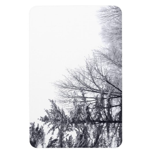 雪に覆われた木：水平 マグネット (縦)