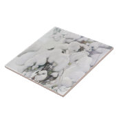 雪に覆われた松のサプリング(Pekka Halonen) タイル (側面)