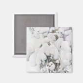 雪に覆われた松のサプリング(Pekka Halonen) マグネット (正面/裏面)