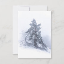 雪に覆われた松の木の冬の写真カード