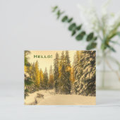 雪に覆われた松の木の森自然写真こんにちは ポストカード (スタンド正面)