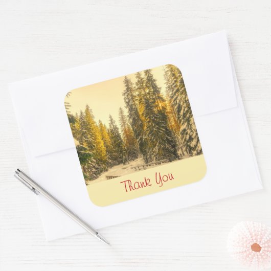 雪に覆われた松の木の自然写真ありがとう スクエアシール (封筒)