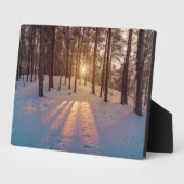 雪に覆われた松林の夕日 フォトプラーク (側面)