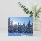 雪に覆われた松林の風景 自然の景色 旅行 シーズンポストカード (スタンド正面)