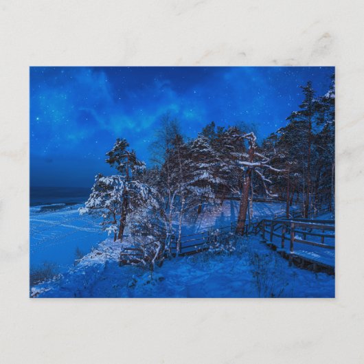 雪に覆われた松模様の夜景 ポストカード (正面)