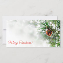 雪に覆われた松