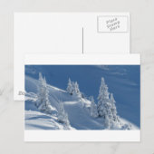 雪に覆われた松 ポストカード (正面/裏面)