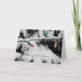 雪に覆われた枝にクリスマスライトを当てる シーズンカード (正面)
