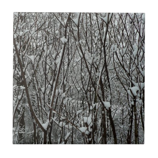 雪に覆われた枝の冬の抽象画 タイル (正面)